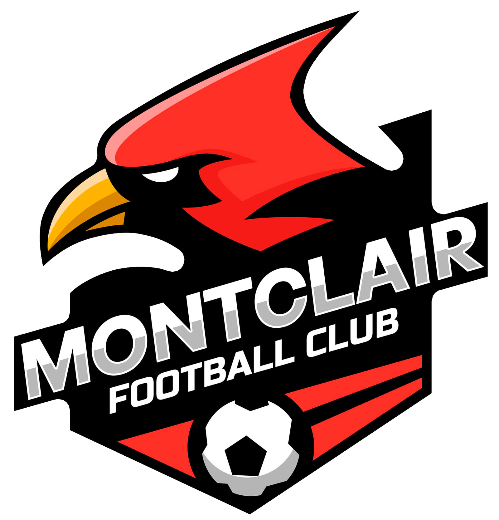 Montclair Football Club Youth Recreational Soccer