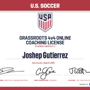 4v4 License (online)